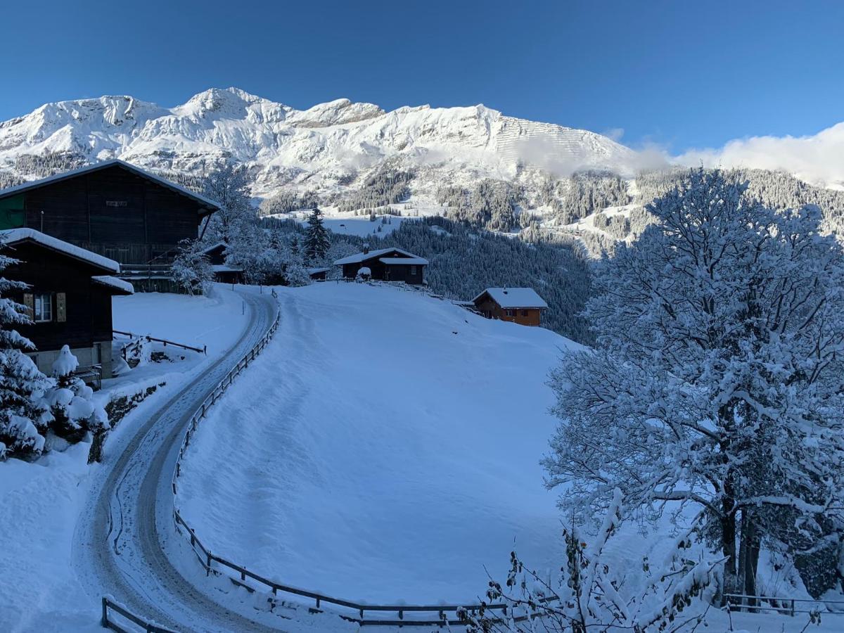 Chalet Schiltwald Innerwengen Extérieur photo