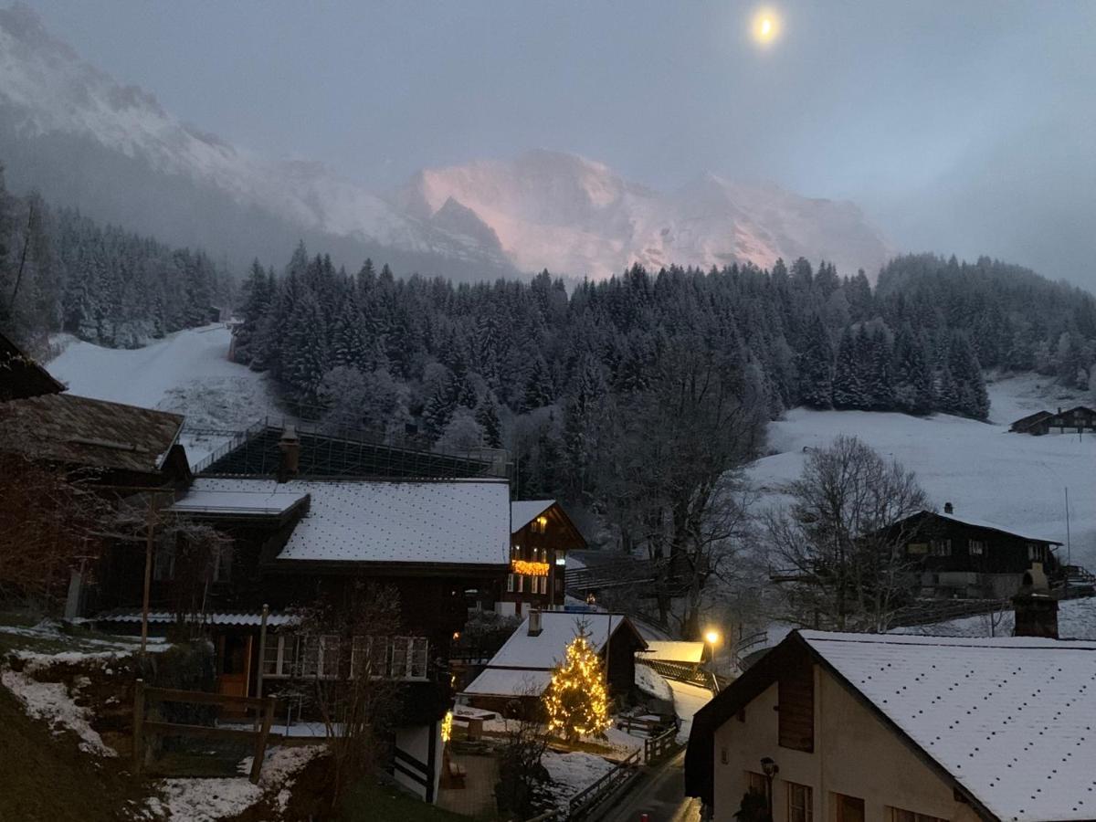Chalet Schiltwald Innerwengen Extérieur photo