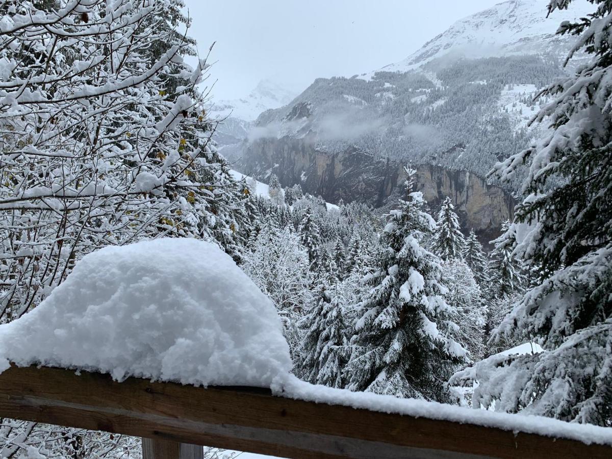Chalet Schiltwald Innerwengen Extérieur photo