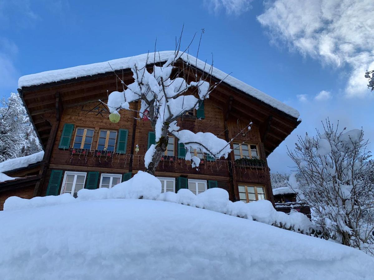 Chalet Schiltwald Innerwengen Extérieur photo