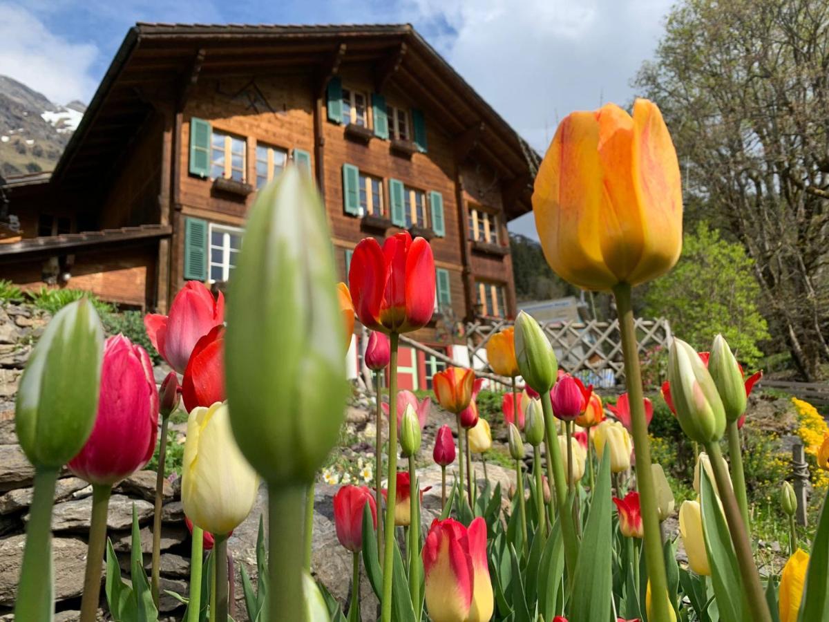 Chalet Schiltwald Innerwengen Extérieur photo